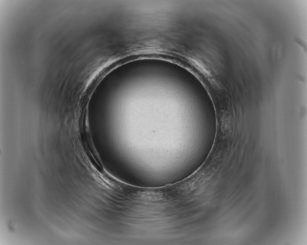 X0000098011356200804071317