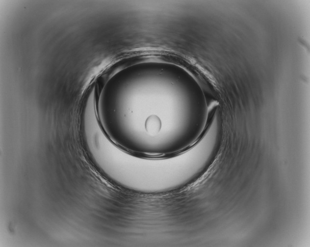 X0000098011357200804071317