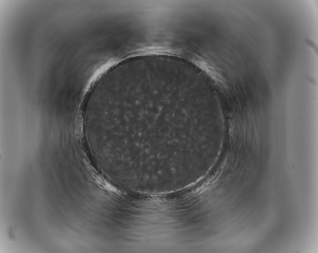 X0000098011358200804071317