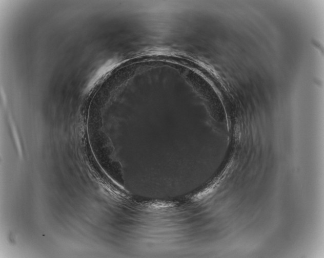 X0000098011359200804071317