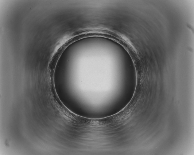 X0000098011360200804071317