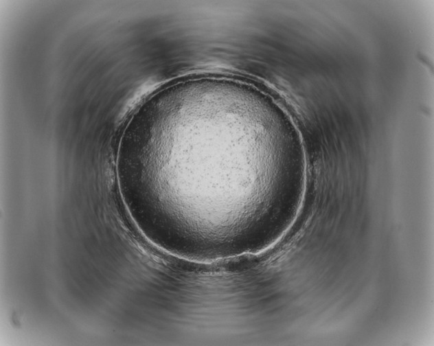 X0000098011363200804071317