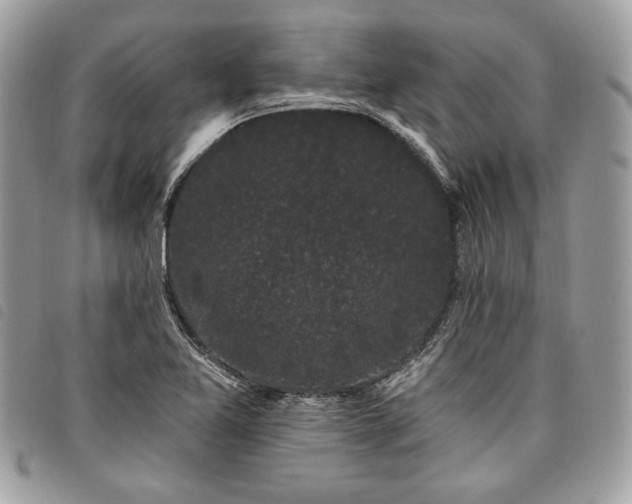 X0000098011365200804071317