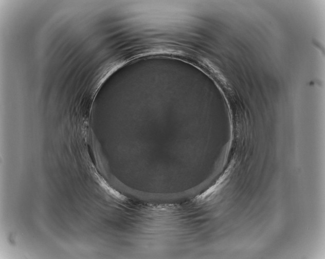 X0000098011369200804071317