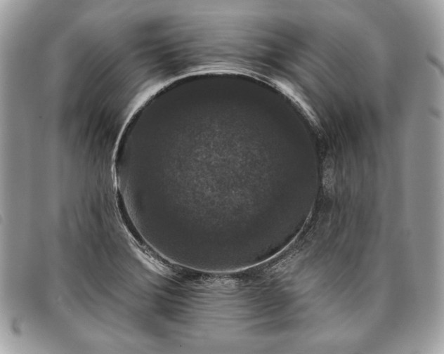 X0000098011372200804071317
