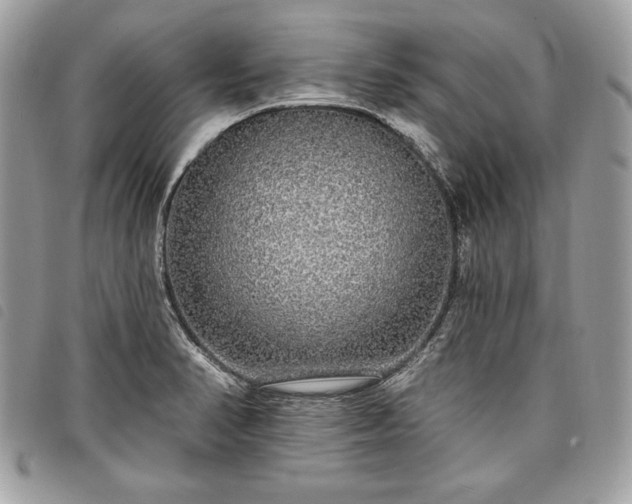 X0000098011374200804071317