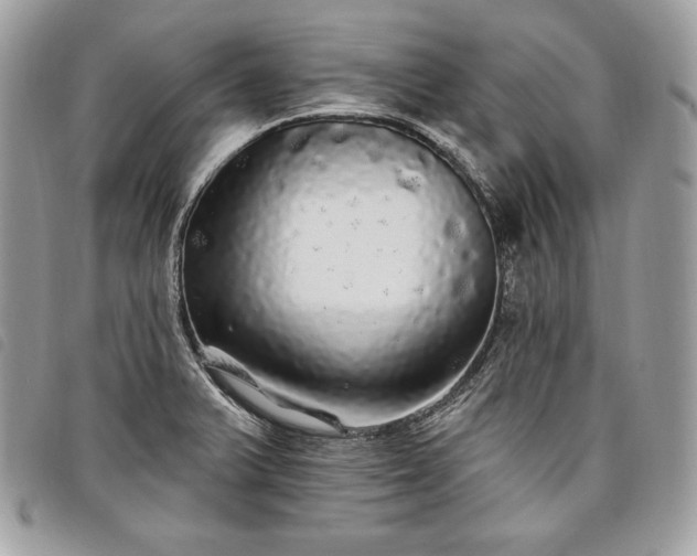 X0000098011375200804071317