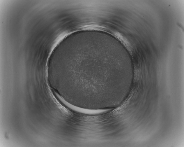 X0000098011376200804071317