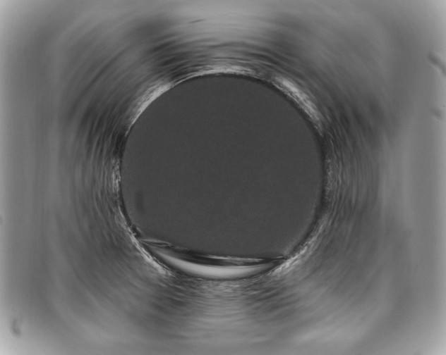 X0000098011377200804071317