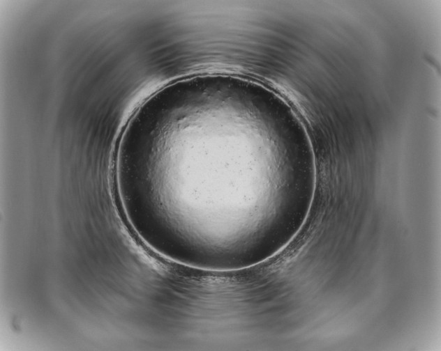X0000098011379200804071317