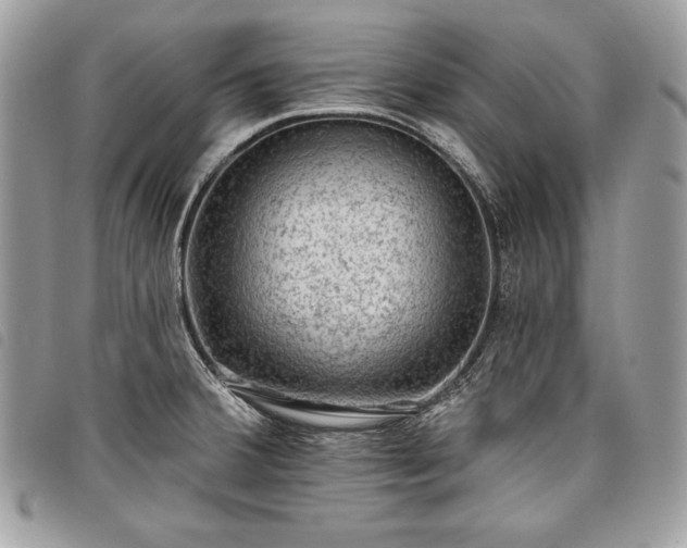 X0000098011380200804071317