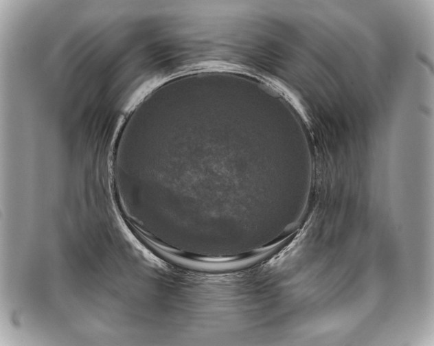X0000098011381200804071317