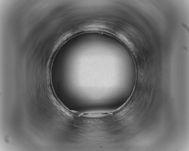 X0000098011384200804071317