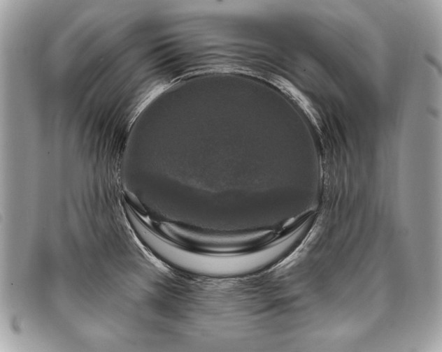 X0000098011385200804071317
