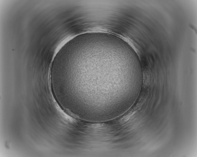 X0000098011387200804071317