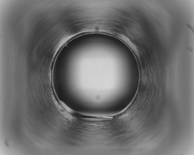 X0000098011388200804071316