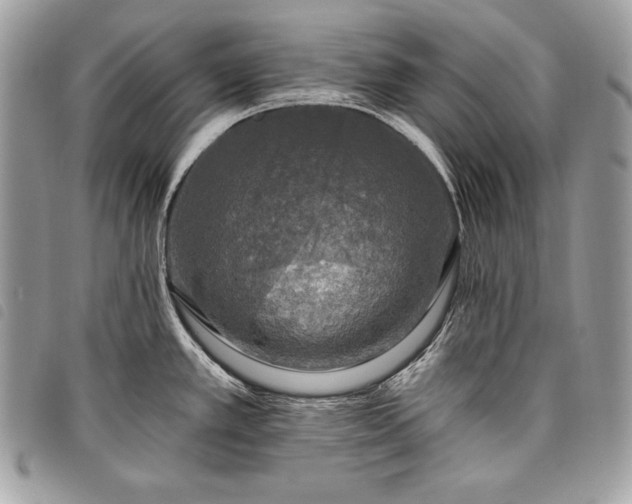 X0000098011389200804071316