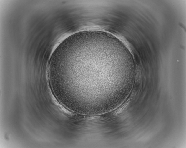 X0000098011390200804071316
