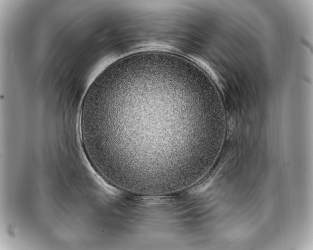 X0000098011391200804071316