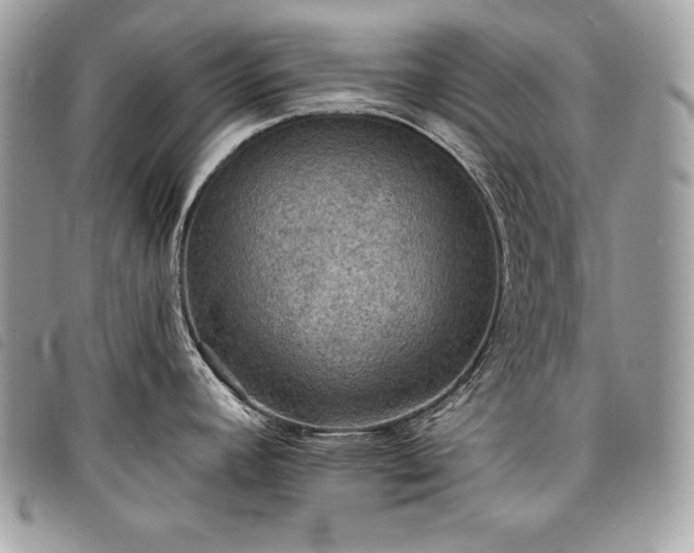 X0000098011392200804071316