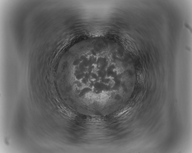 X0000098011393200804071315