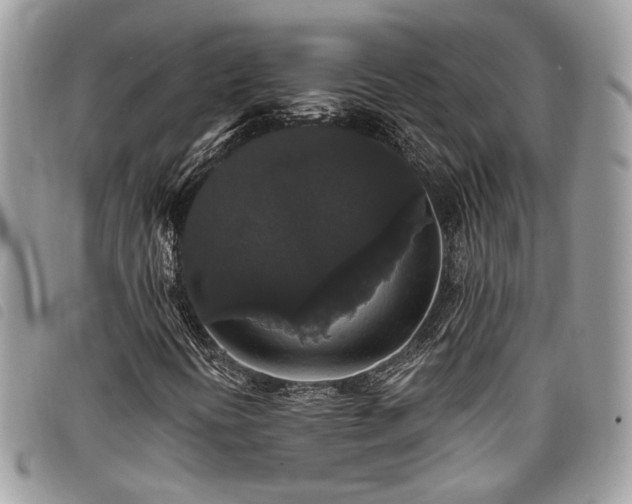 X0000098011394200804071315