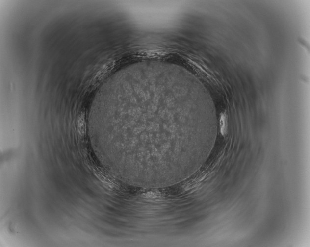 X0000098011395200804071315