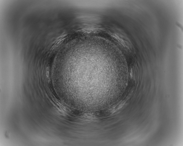 X0000098011396200804071315