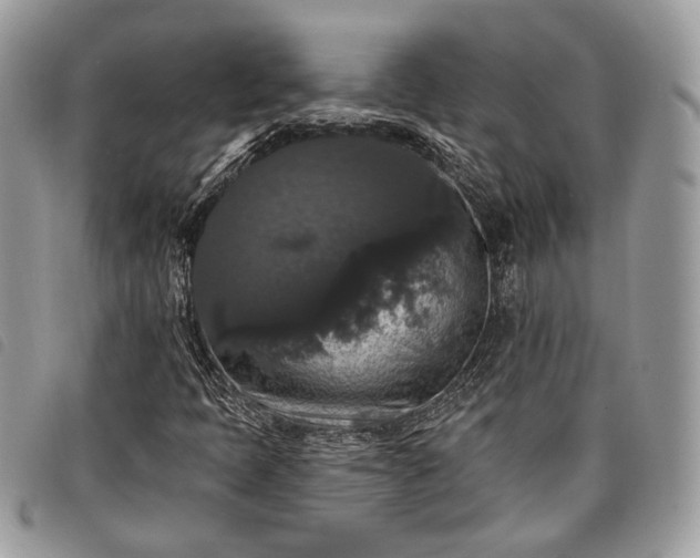 X0000098011397200804071315