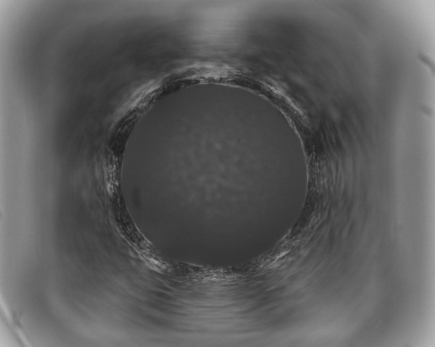 X0000098011399200804071316