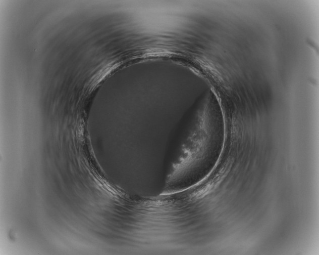 X0000098011401200804071316