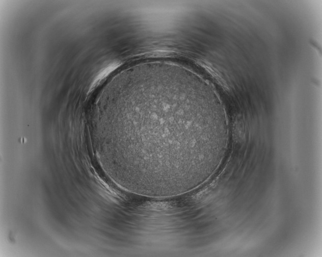X0000098011402200804071316
