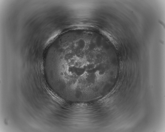 X0000098011403200804071316