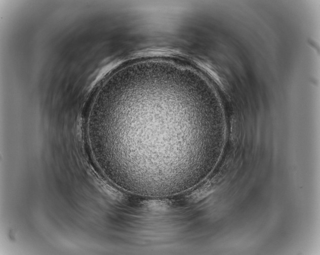 X0000098011404200804071316
