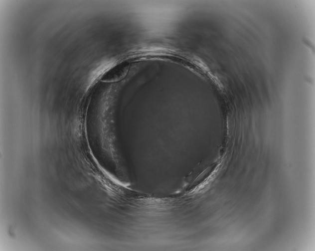 X0000098011405200804071316