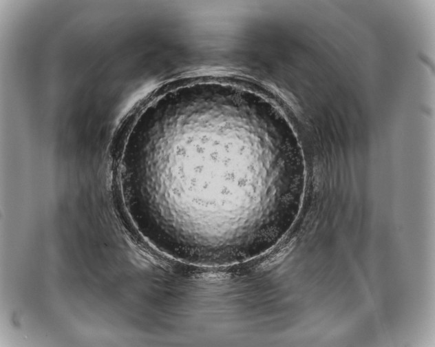 X0000098011406200804071316