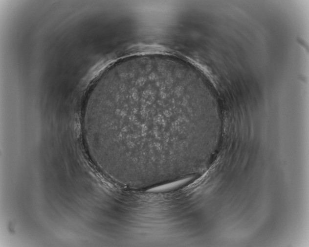 X0000098011407200804071316