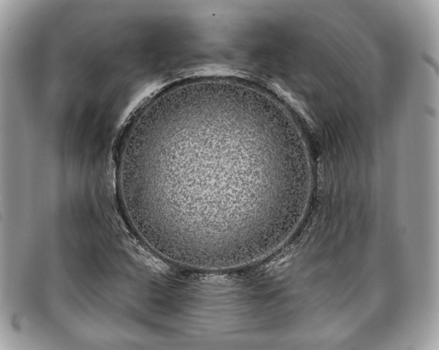 X0000098011408200804071316