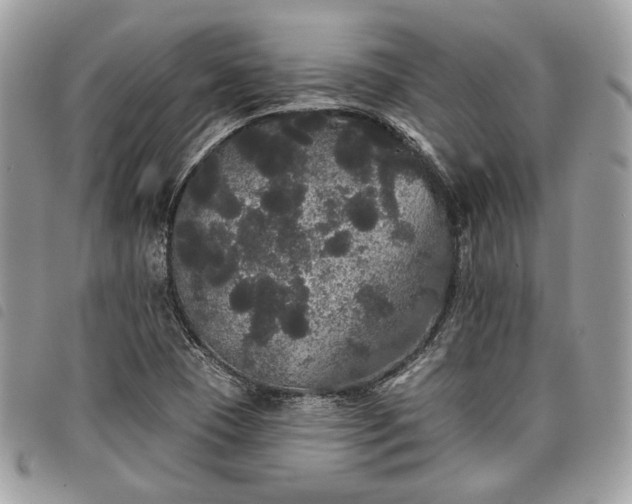 X0000098011409200804071316