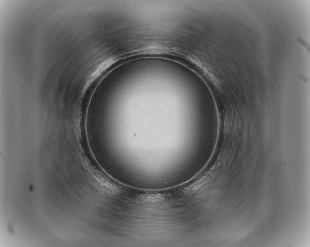 X0000098011410200804071316
