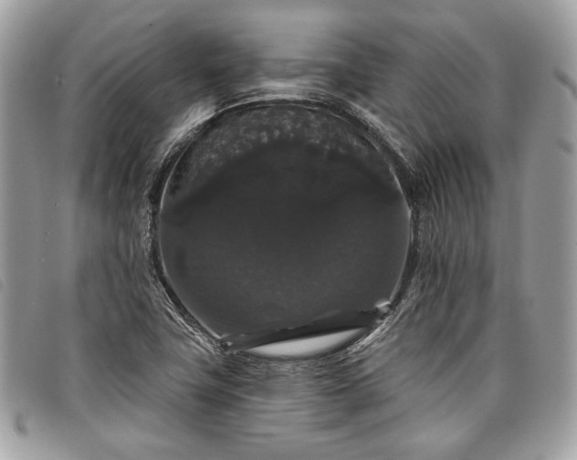 X0000098011411200804071316