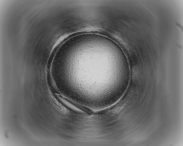 X0000098011412200804071316