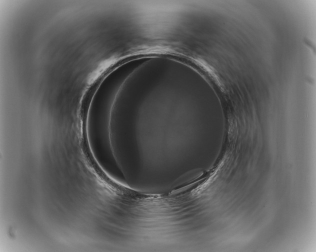 X0000098011414200804071316