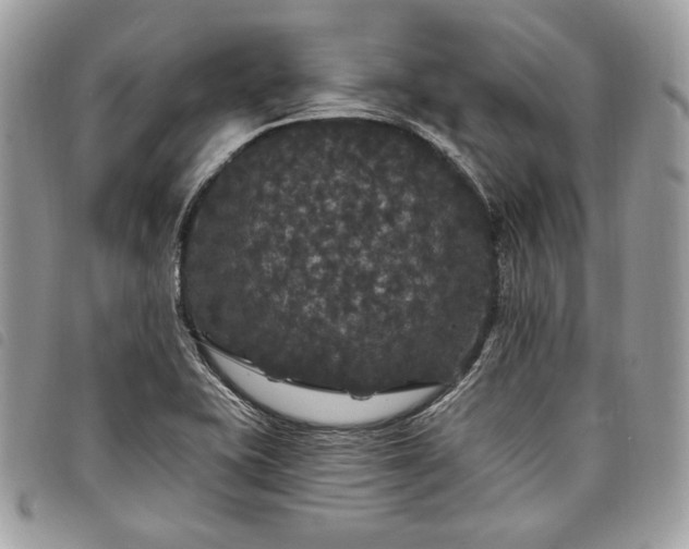 X0000098011415200804071316