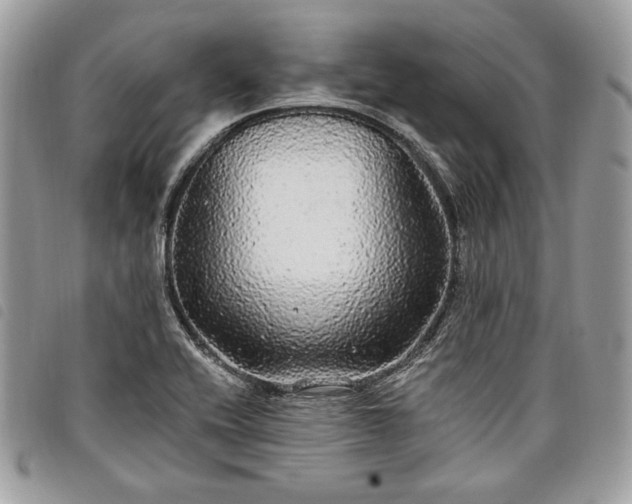 X0000098011416200804071316