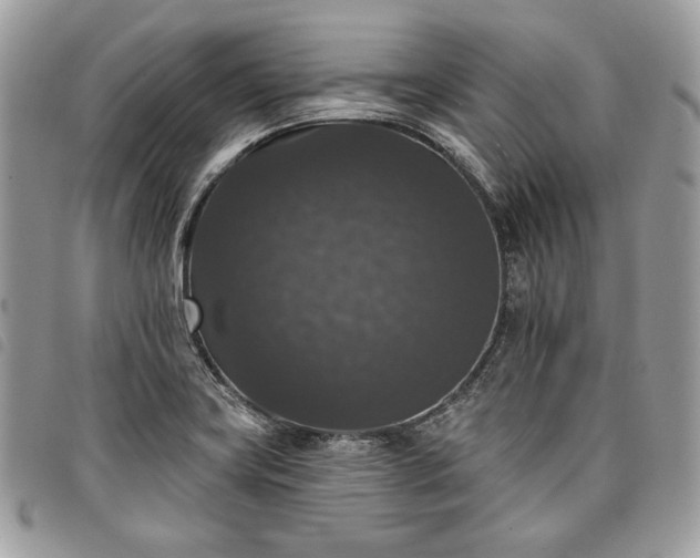 X0000098011419200804071316