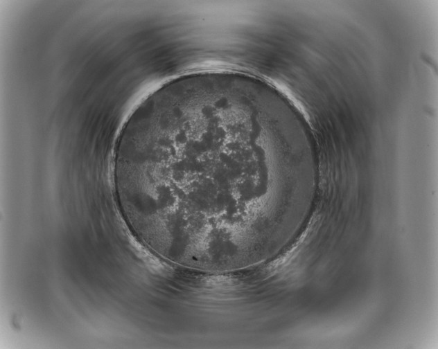 X0000098011421200804071316