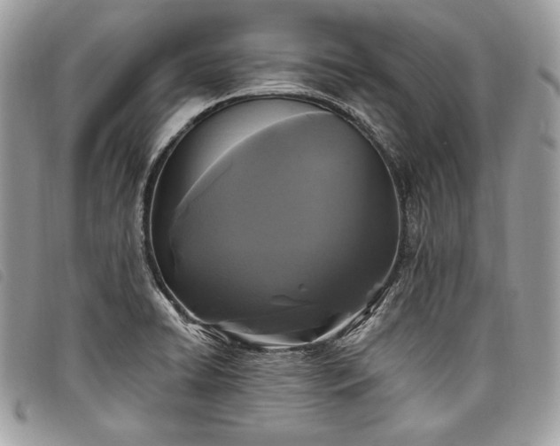 X0000098011422200804071316