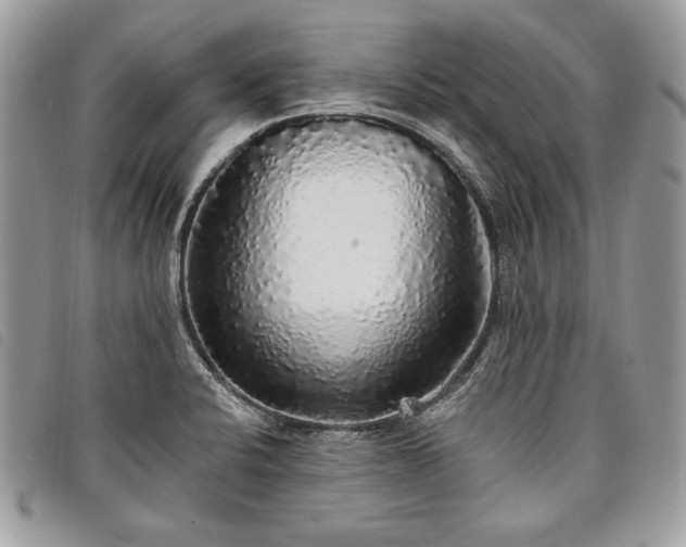 X0000098011424200804071316