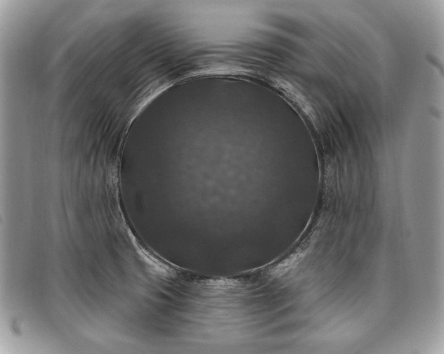 X0000098011425200804071316